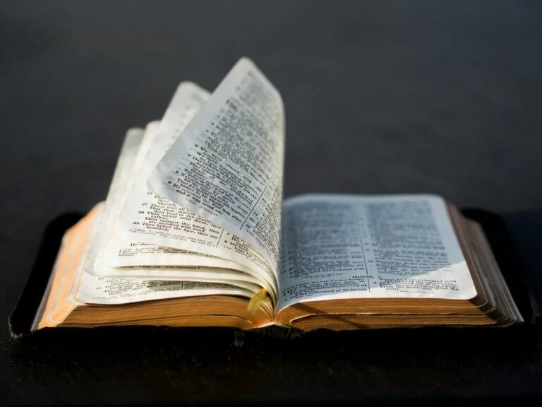 Die Wahrheit: wer schrieb die bibel wirklich?